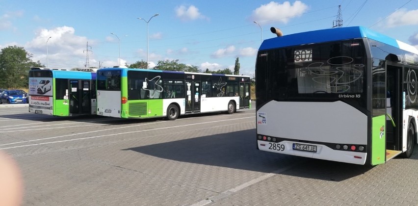 Do nowej organizacji muszą się przyzwyczaić pasażerowie korzystający z pętli przy ul. Turkusowej