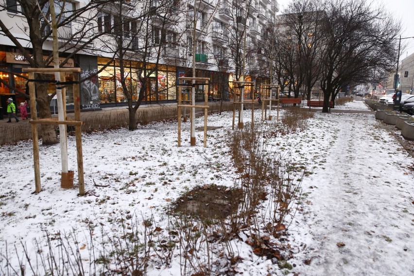 Warszawa zyskała w centrum nowy park kieszonkowy