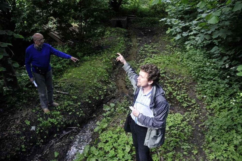 Park Leśny Jaśkowej Doliny objęty jest dodatkowo opieką...