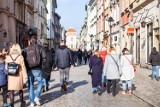 Kraków ogłosił aukcję na najem lokali użytkowych. Wśród adresów m.in. Floriańska, Dunajewskiego, Krakowska