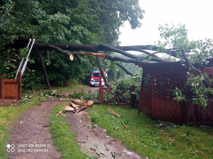 Straż Wałbrzych: Drzewo upadło na jadący na samochód i linię energetyczną oraz seniorka wzywa pomocy