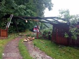Straż Wałbrzych: Drzewo upadło na jadący samochód i linię energetyczną, a seniorka wzywa pomocy 
