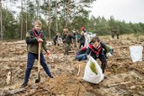 Mieszkańcy Bydgoszczy sadzili młode drzewka w Smukale [zdjęcia]