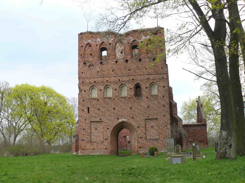 Steblewo - ruiny gotyckiego kościoła