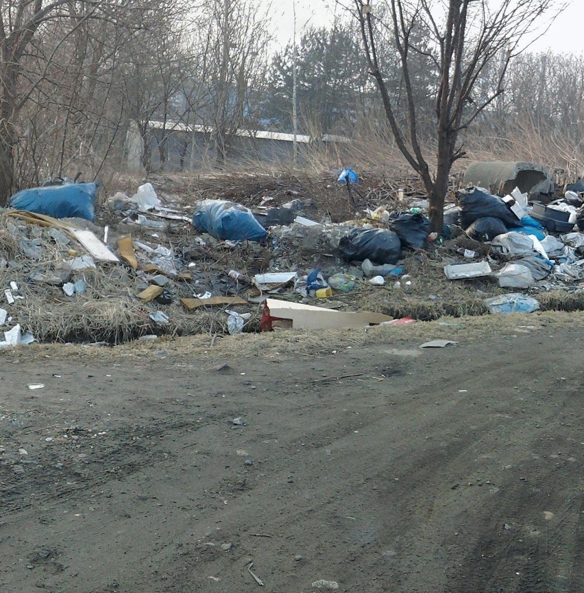 Życie po śmieciach: Bałagan przy ulicach Miarki, Maków i Krokusów [ZDJĘCIA]