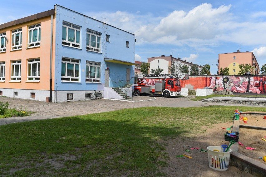 Pszczeli rój  w przedszkolu w Lesznie