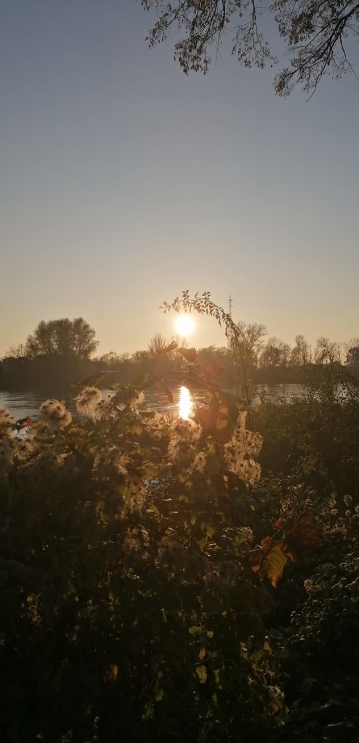 Piękne, jesienne zdjęcia Czytelników z Krosna Odrzańskiego i...