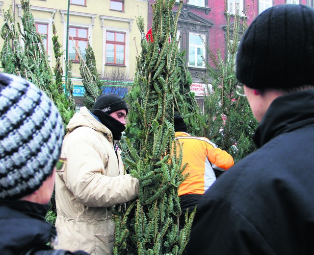 Na Starym Kleparzu choinki zajmują całą aleję