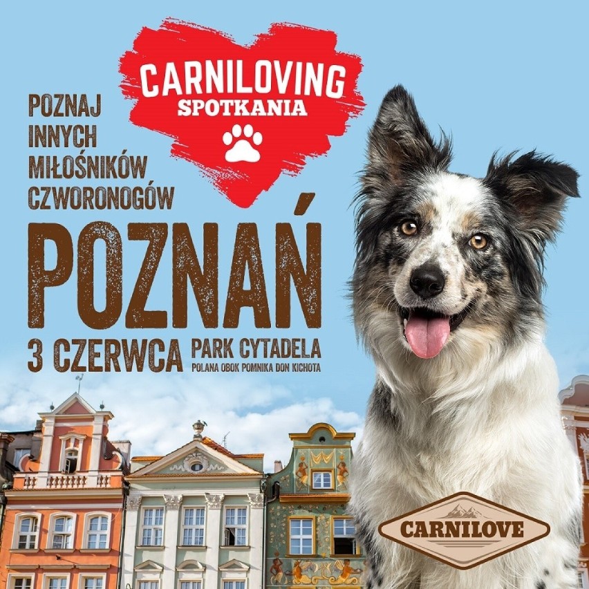 Poznań kolejnym gospodarzem Carnilovingu po zeszłorocznym sukcesie akcji!