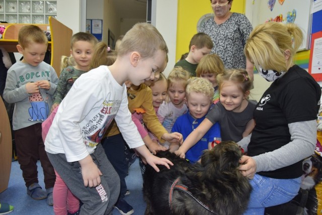 W imieniu innych zwierząt karmę odebrał z przedszkola kundelek Piko, który sprawił dzieciakom wiele radości