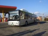 Busnex Poland wygrywa spór o unieważniony przetarg na dostawę autobusów dla Łomży