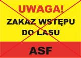 ASF w Lubuskiem! Został zniesiony zakaz wstępu do lasów. W końcu możemy odwiedzać piękne, lubuskie lasy! [ZDJĘCIA]