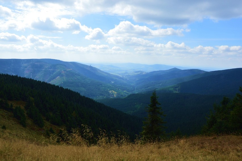 Widok z okolic Śnieżnika na stronę czeską