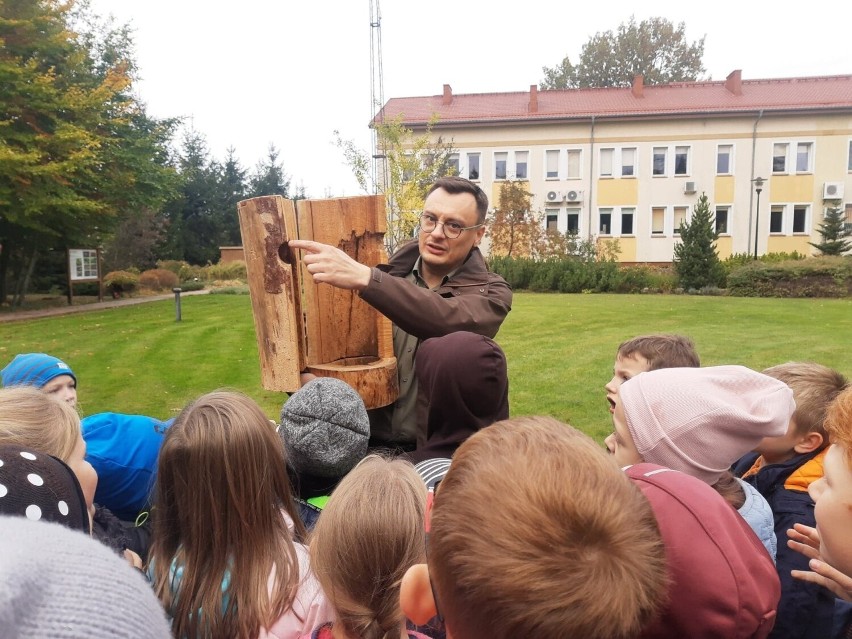 Szkoła Podstawowa nr 10 w Ostrołęce prowadzi drugą edycję ogólnopolskiego projektu "Z ekologią na ty"