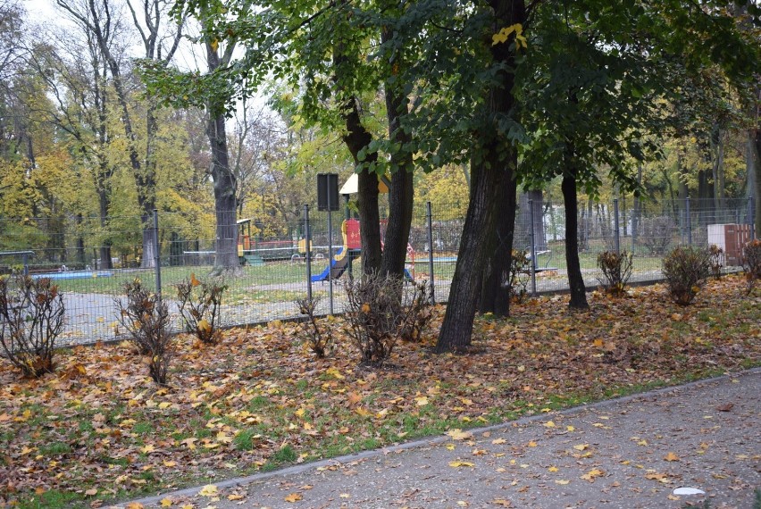 Złota polska jesień w Gnieźnie. W parkach pustki [FOTO]