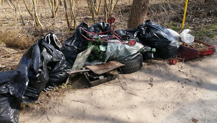 W Kołobrzegu mieszkańcy nowego osiedla zebrali w okolicy kilkaset kilogramów śmieci