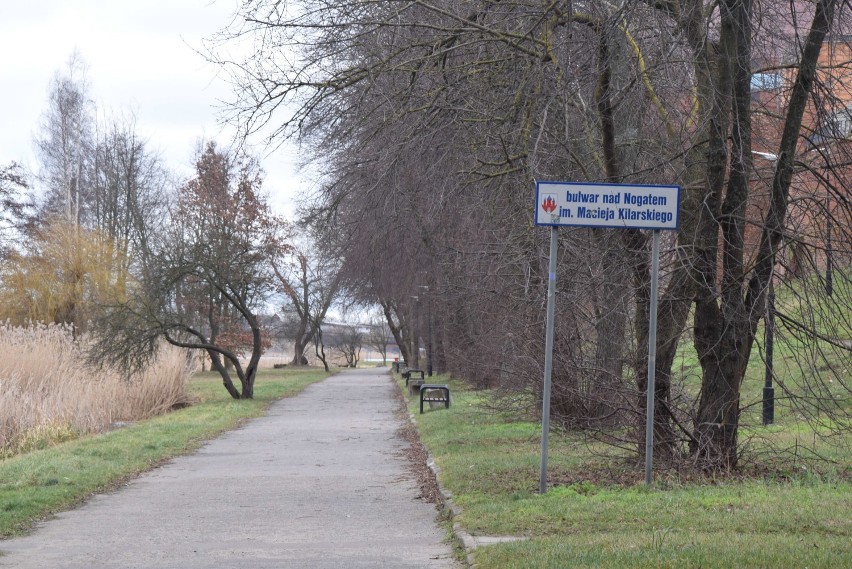 Malbork. Bulwary nad Nogatem czekają na remont. Kiedy rozpoczną się prace? Miasto zapowiada przetarg na tę wyczekiwaną inwestycję