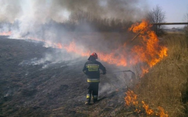 Strażacy jednej nocy gasili pięć pożarów