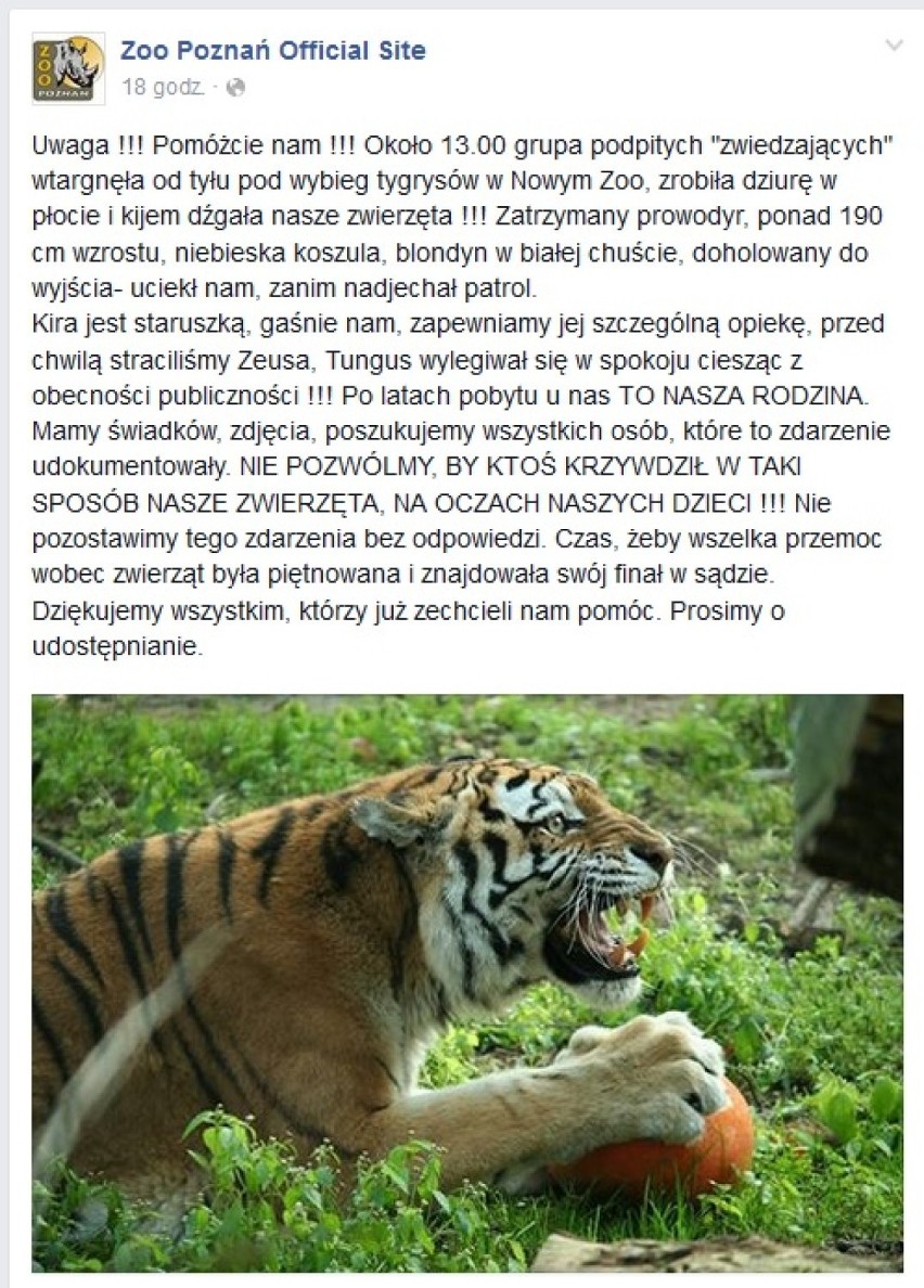 Apel zoo w Poznaniu