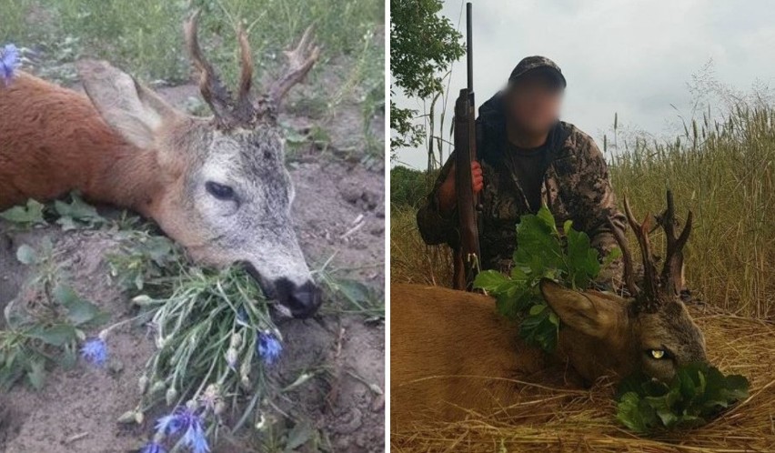 Pokot - szlachetna tradycja? Zdecyduj SAM - ZOBACZ GALERIĘ