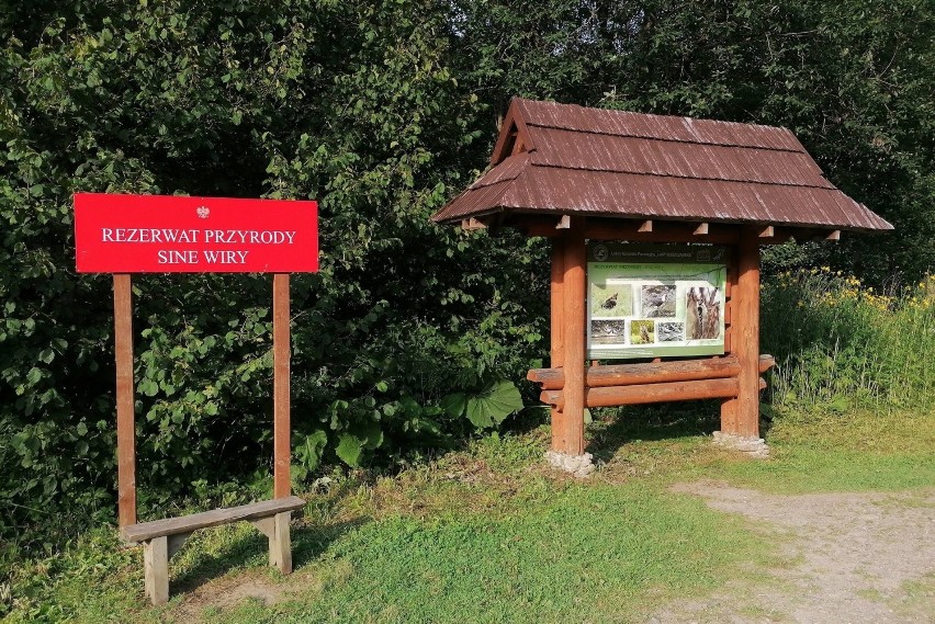 Rezerwat Sine Wiry z przełomem rzeki Wetliny to jedno z...