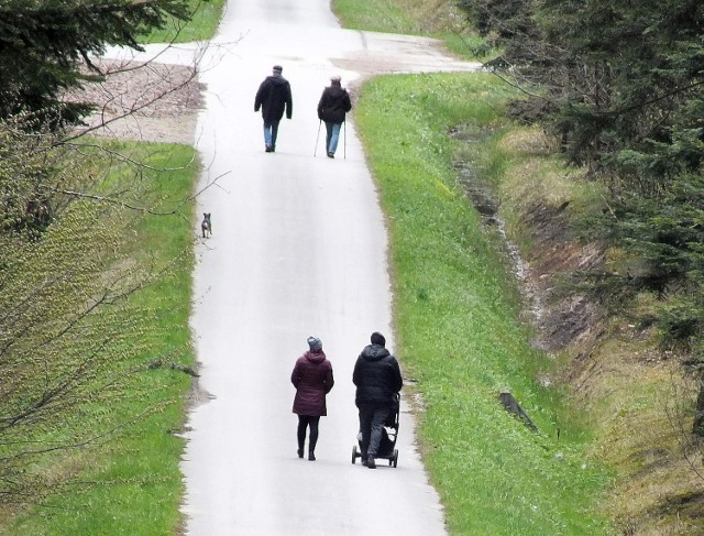 W majowy weekend w starachowickich lasach było bardzo spokojnie