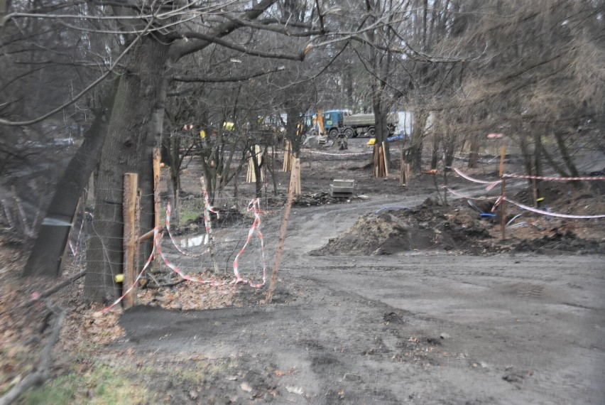 Park Sybiraków zostanie gruntownie przebudowany