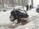 Wypadek w Starzynie 20.03.2018. 27-latka z gminy Puck uderzyła w drzewo. Trafiła do szpitala w Wejherowie | ZDJĘCIA