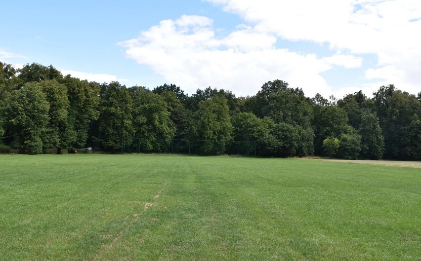 Malbork. Nowe boisko na polanie w Parku Miejskim jeszcze potrzebuje dodatkowych zabiegów, zanim zostanie oddane do użytku