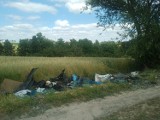 Odpady toksyczne w rowie w Jastrzębnikach. ZDJĘCIA