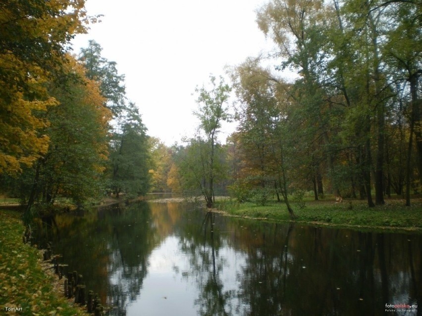 Na pomysł stworzenia sentymentalnego parku, gdzie będzie...