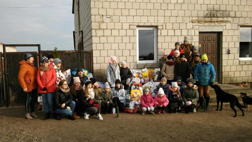 Gmina Sztabin. Uczniowie zbierali karmę dla zwierząt w schronisku