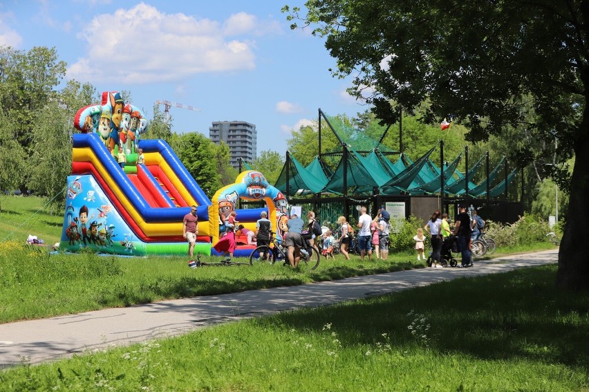 Wspaniała zabawa w Dolinie Silnicy w Kielcach. Mnóstwo atrakcji na pikniku z okazji Dnia Dziecka. Zobacz zdjęcia 