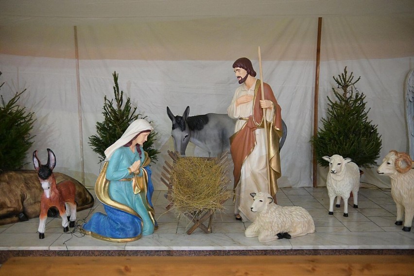 Szopka bożonarodzeniowa w Sanktuarium Relikwii Drzewa Krzyża Świętego w Wałbrzychu