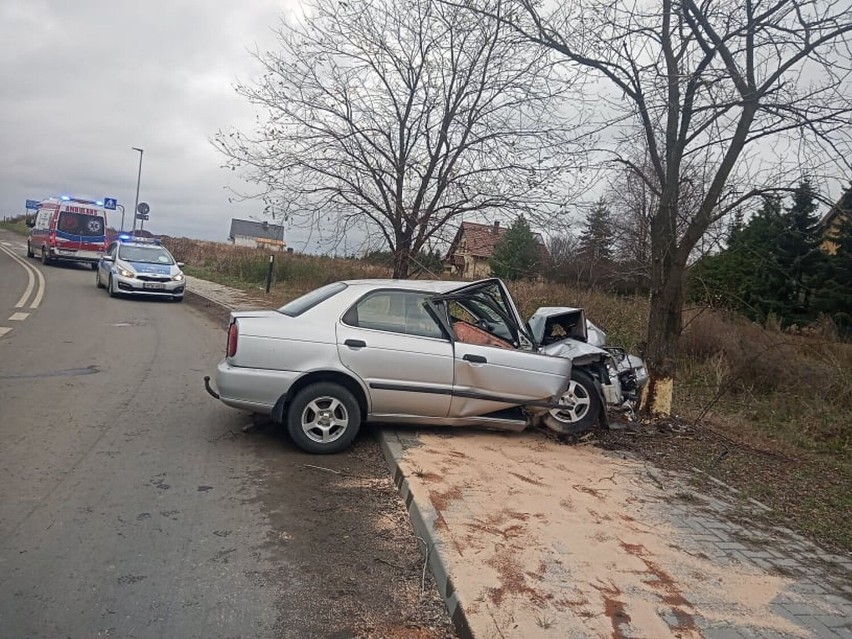 Samochodem w drzewo w Grzędzicach pod Stargardem. Kierowca pijany