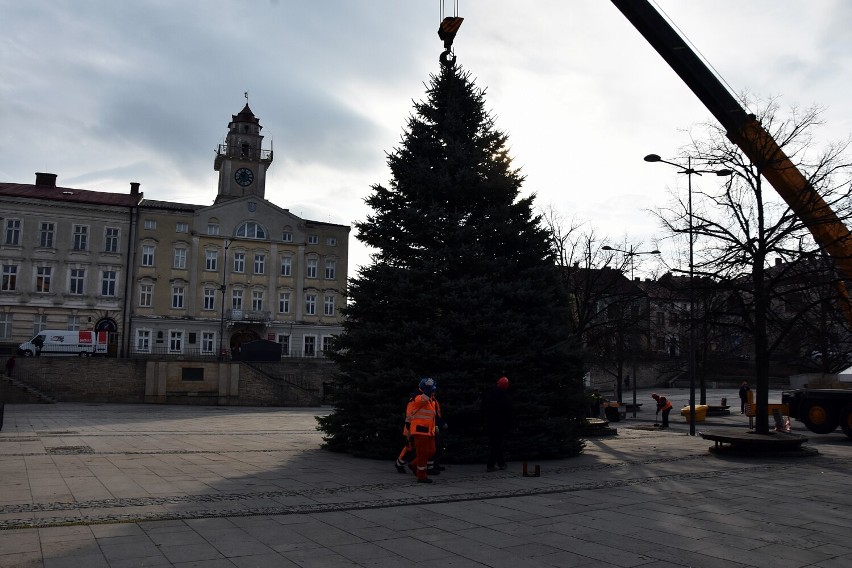 O tej choince która stanęła na gorlickim Rynku nikt nie...