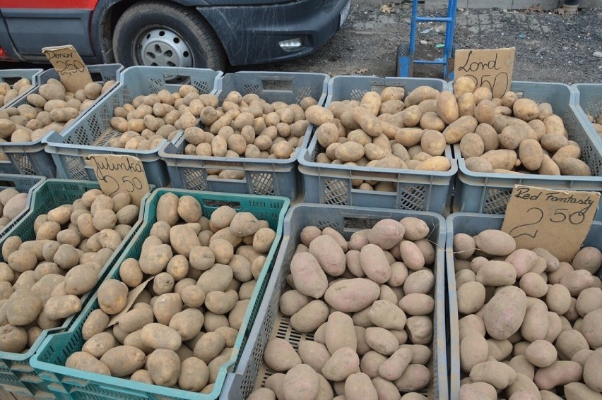 Targ w Stalowej Woli w piątek trzeciego marca. Jakie ceny owoców i warzyw? Niektóre podrożały. Sprawdź szczegóły