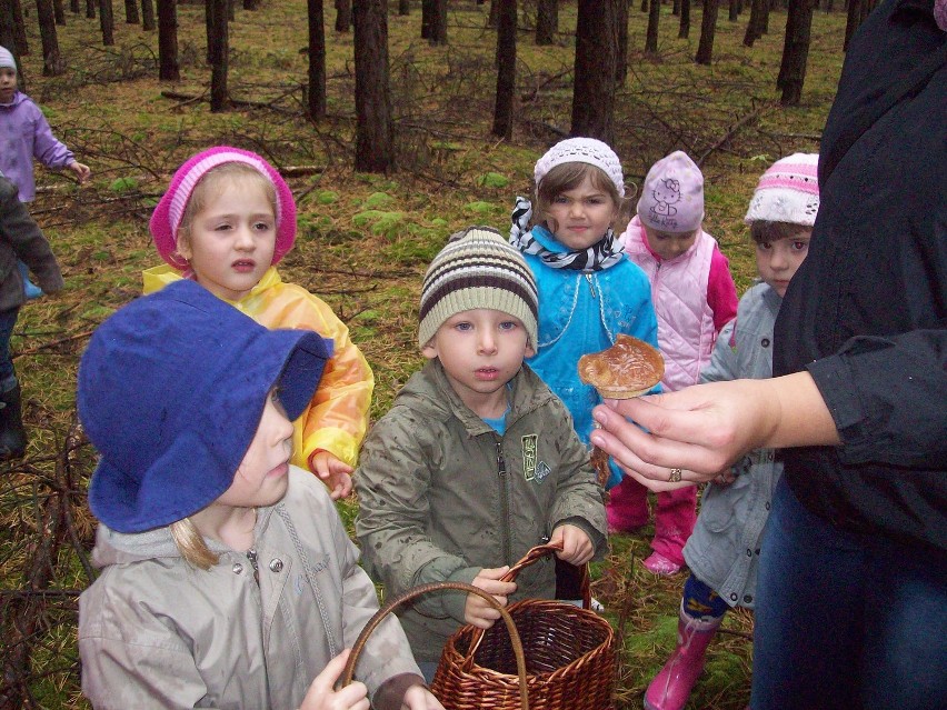 Syców: Maluchy z dwójki w Ciurówce