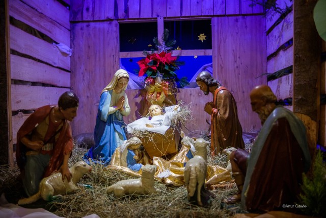 Szopki bożonarodzeniowe w tarnowskich kościołach 2021