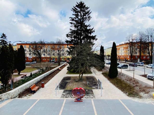 Początek Alei Gwiazd Kraśnickiego Sportu zaplanowano na skwerze przed Centrum Kultury i Promocji, nieopodal obiektów MOSiR.