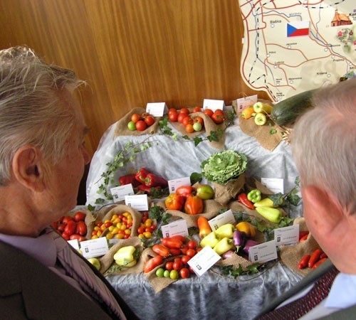 Na wystawie można było zobaczyć owoce i warzywa z polskich i czeskich działek i ogrodów.