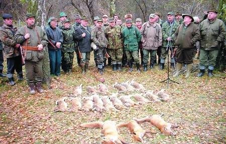 W polowaniu hubertusowym koła łowieckiego ,,Jeleń&amp;#8217;&amp;#8217; w lasach koło Mikołajówka wzięło udział 29 myśliwych. Ustrzelili oni 16 zajęcy, trzy lisy i bażanta. Fot. I. KOLASIŃSKA