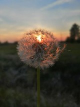Zachody słońca nad Legnicą na zdjęciach naszych czytelników [GALERIA]