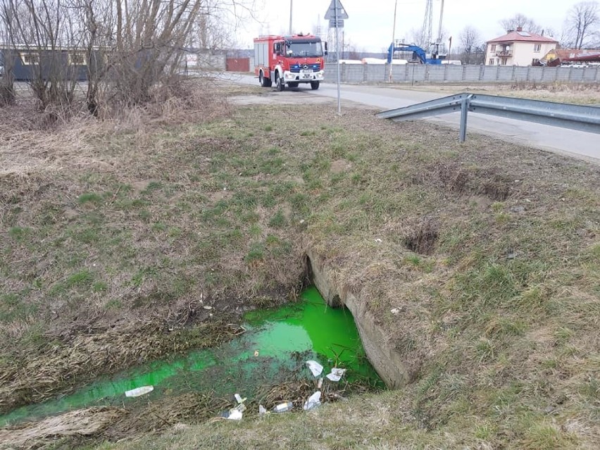 Substancja, którą zanieczyszczony był potok przy ul....
