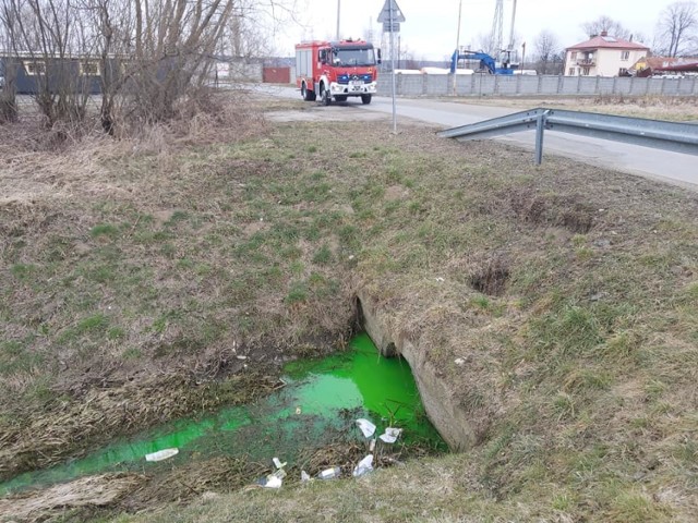 Substancja, którą zanieczyszczony był potok przy ul. Towarowej, wyglądała na toksyczną.