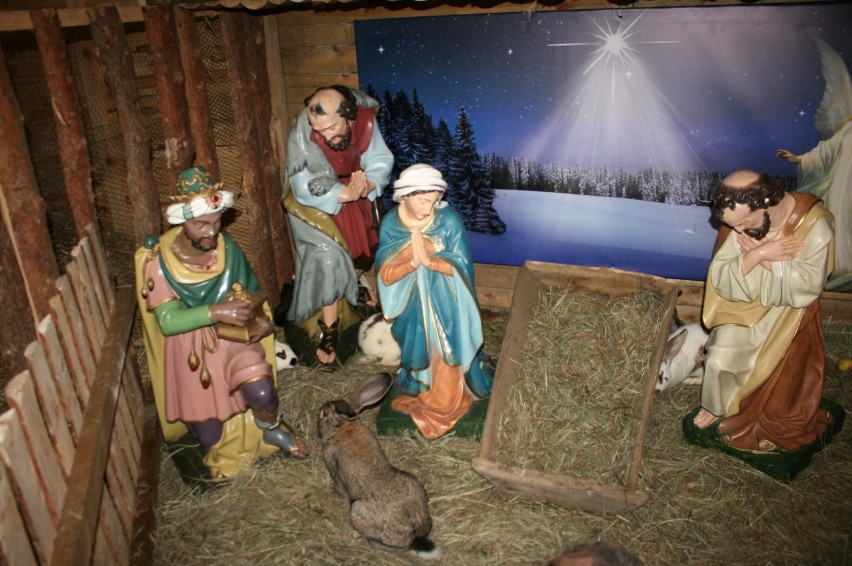 Żywa Szopka Bożonarodzeniowa w Radziejowie [zdjęcia]