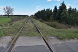 Pociągiem pojedziemy z Rogoźna do Wągrowca i Czarnkowa. Projekt jest w programie "Kolej plus"
