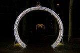 Świąteczna iluminacja Międzychodu 2017 już rozbłysła w parku na Lipowcu