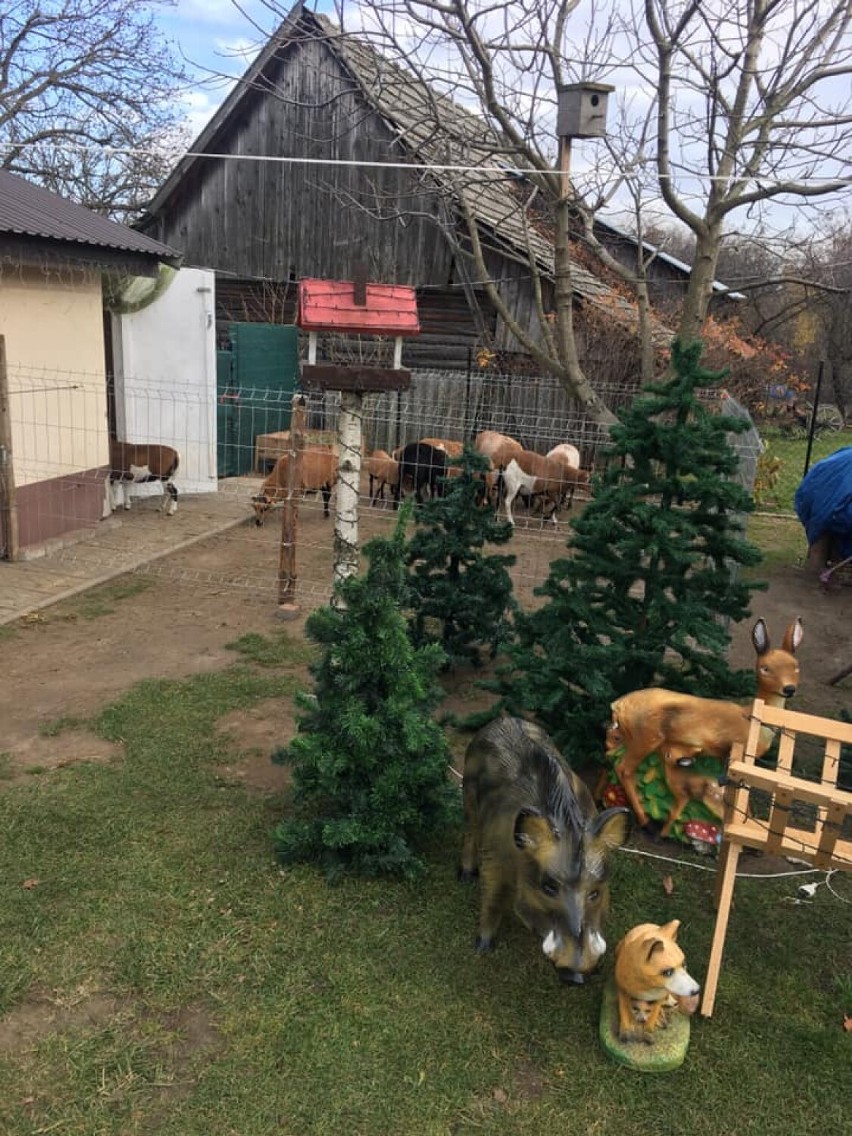 W tym roku Magia Świąt w Lisiej Górze rozbłyśnie 18 grudnia