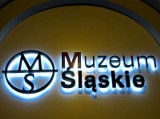 Noc Muzeów 2011 w Muzeum Śląskim [ZDJĘCIA Internautki]